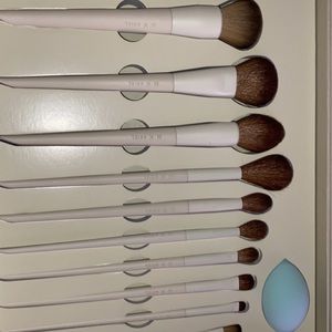 Ariel morphe brushes